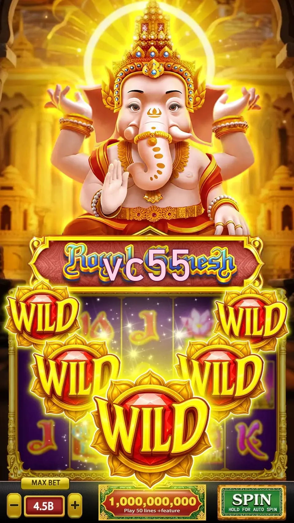 vc55 APK